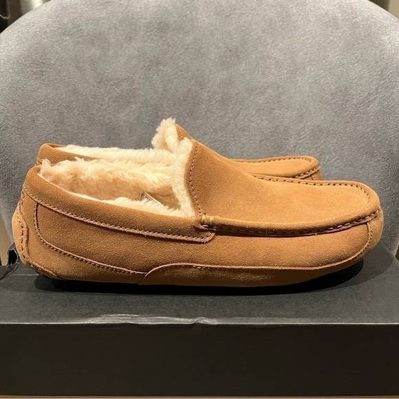 UGG Men’s Ascot Slip on Slipper Chestnut Size 11 US - Picture 1 of 14
